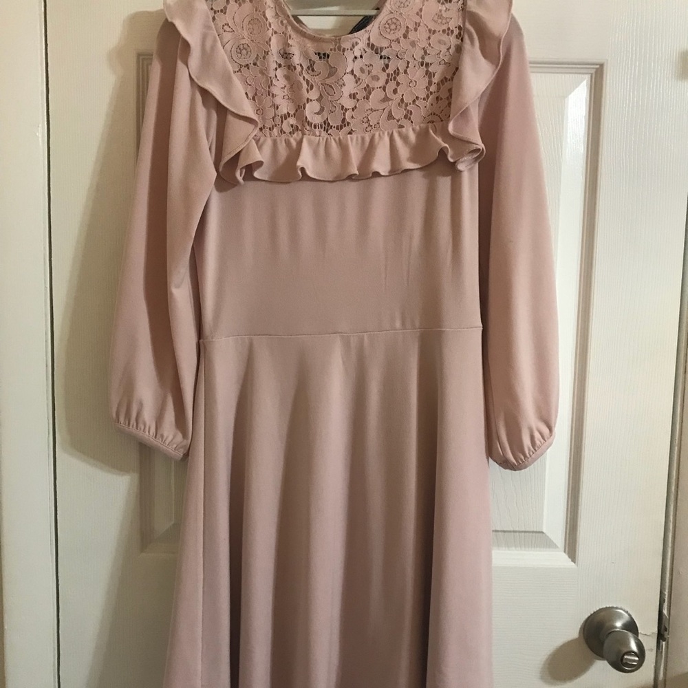 Express A line Vintage Pink Dress Lace Like New